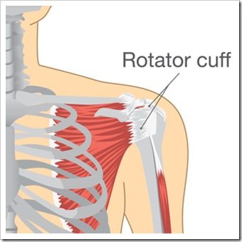 Shoulder Pain Spokane WA Rotator Cuff Injury