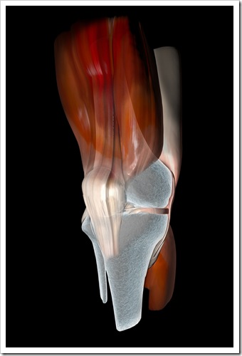 Knee Pain Spokane WA Sports Injury